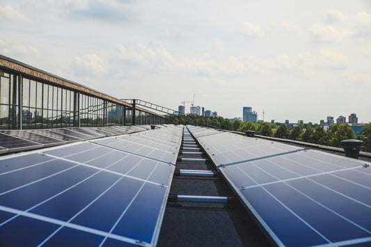 Why Businesses Should Invest in Solar Energy Now