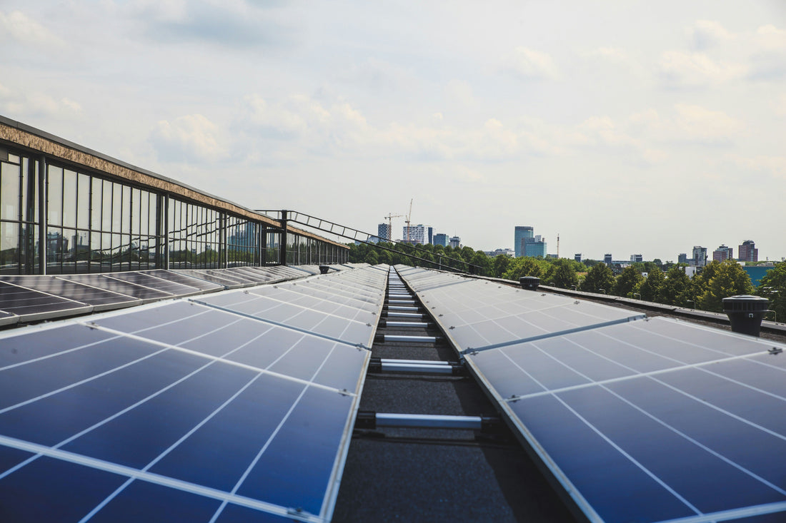 Why Businesses Should Invest in Solar Energy Now
