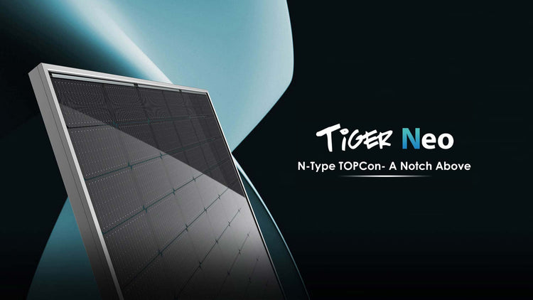 TigerNeo